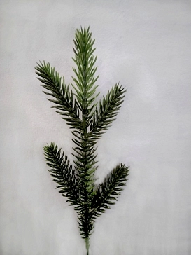 Название картинки