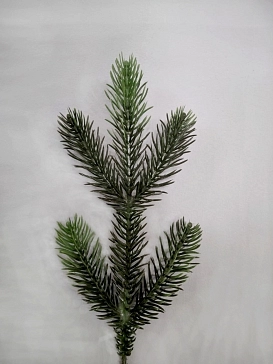 Название картинки