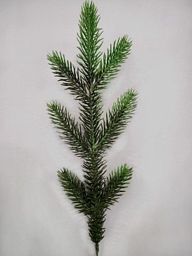 Название картинки