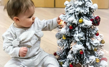 Маленькие ёлочки